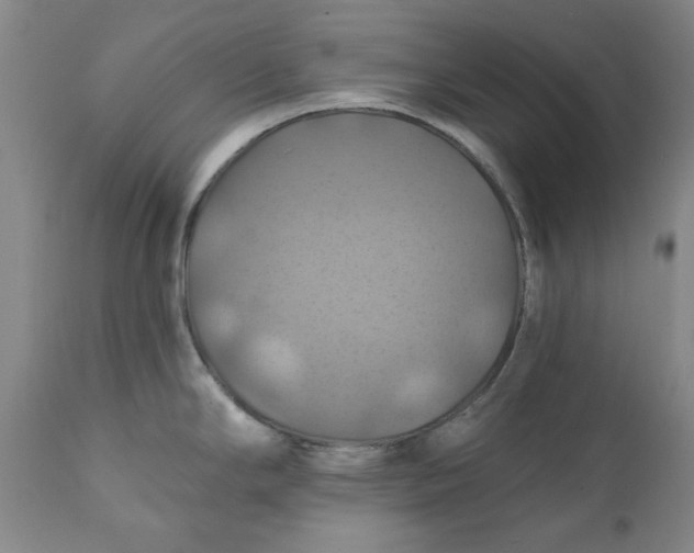 X0000112031294200908241529