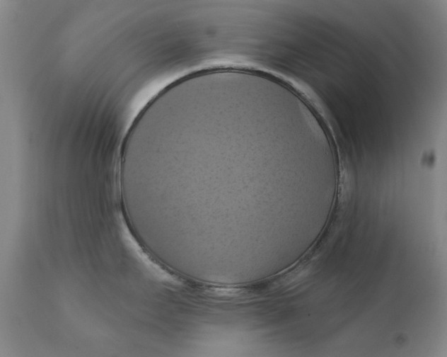 X0000112031295200908241529