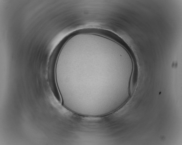 X0000112031296200908241529