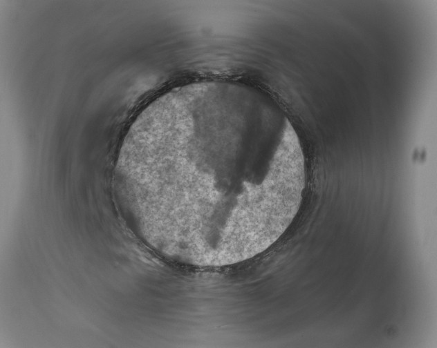 X0000112031297200908241529