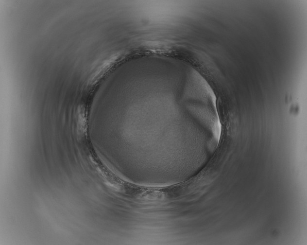 X0000112031298200908241529