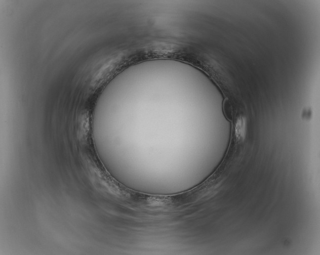 X0000112031299200908241529