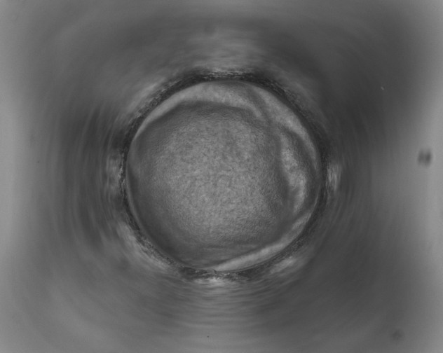 X0000112031300200908241529