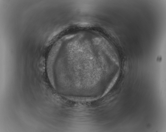 X0000112031301200908241529