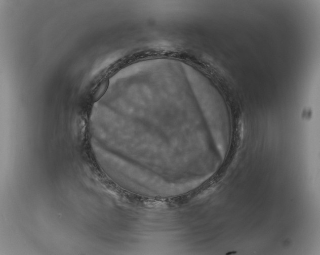 X0000112031302200908241529