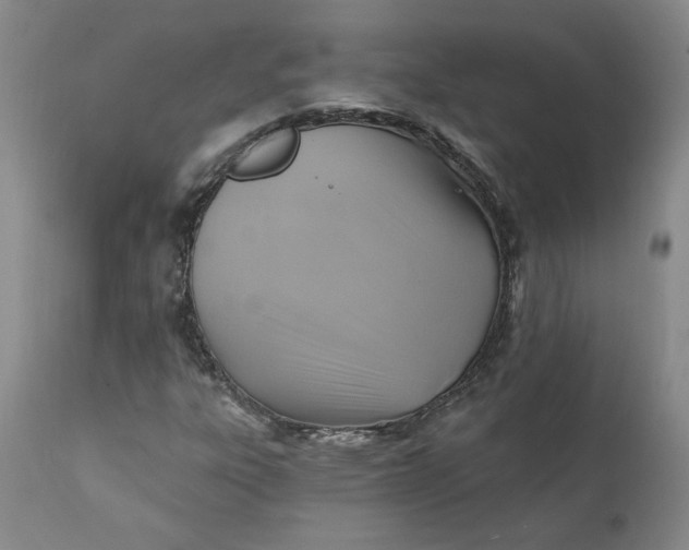 X0000112031303200908241529