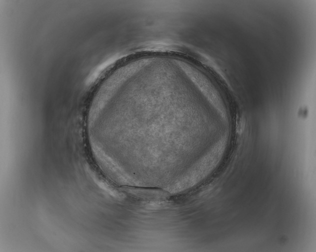 X0000112031304200908241529