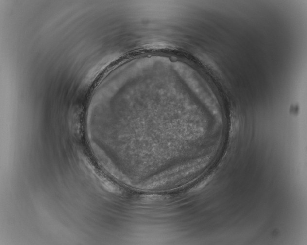 X0000112031305200908241529