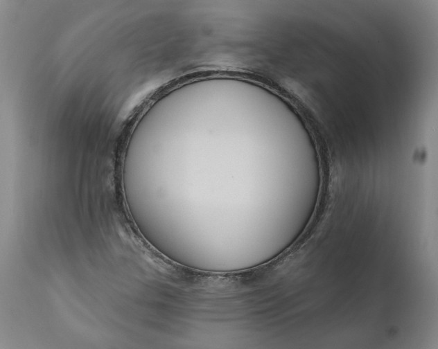 X0000112031307200908241529