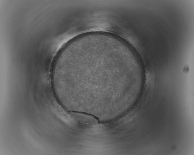 X0000112031308200908241529