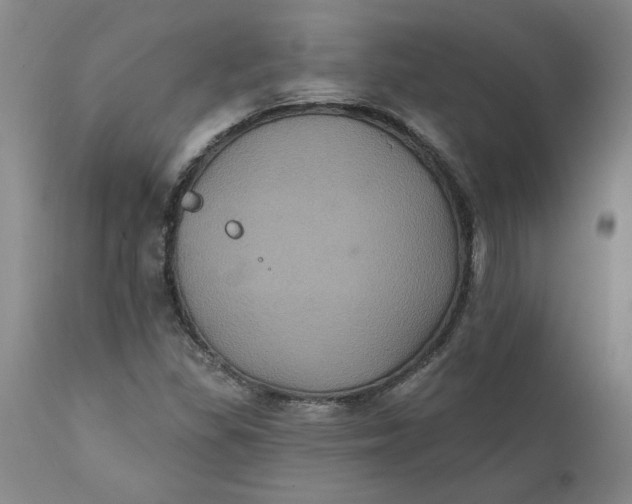 X0000112031309200908241529