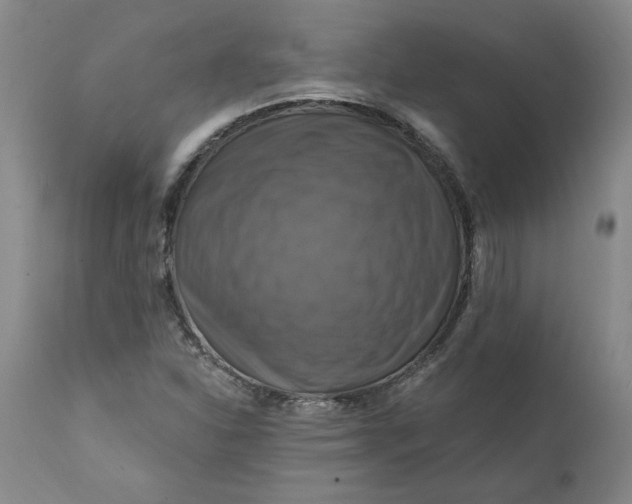 X0000112031310200908241529