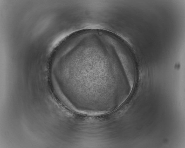 X0000112031311200908241529