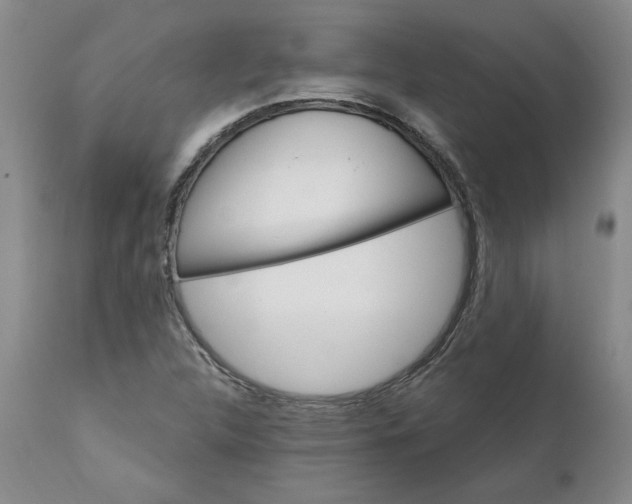 X0000112031312200908241529