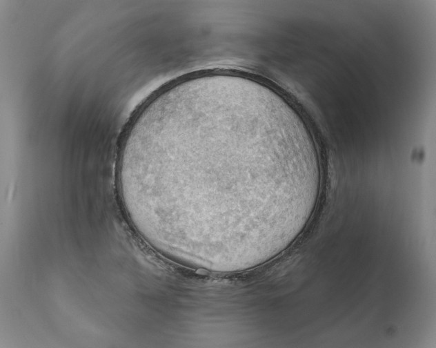 X0000112031316200908241529