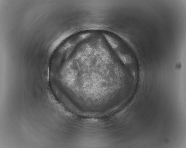 X0000112031317200908241529