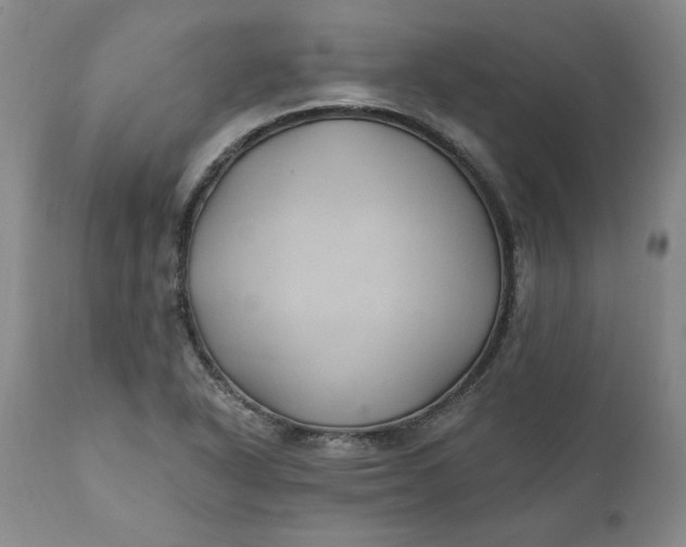 X0000112031318200908241529