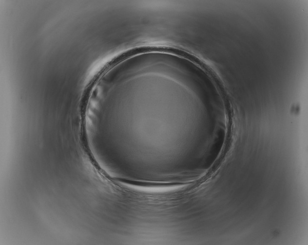 X0000112031319200908241529