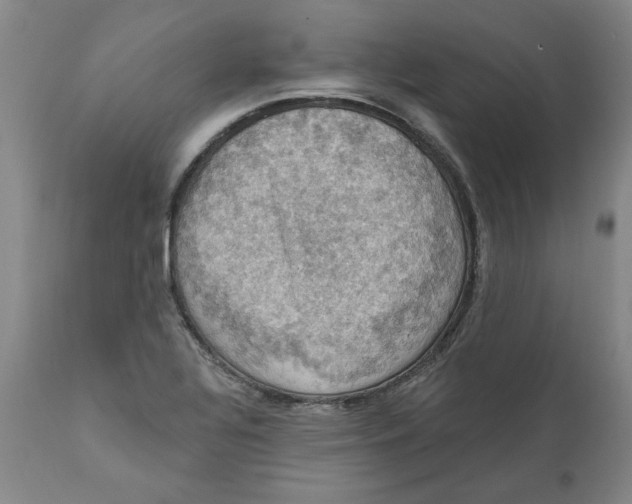 X0000112031320200908241529