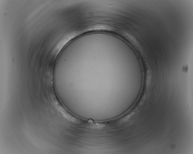 X0000112031321200908241529