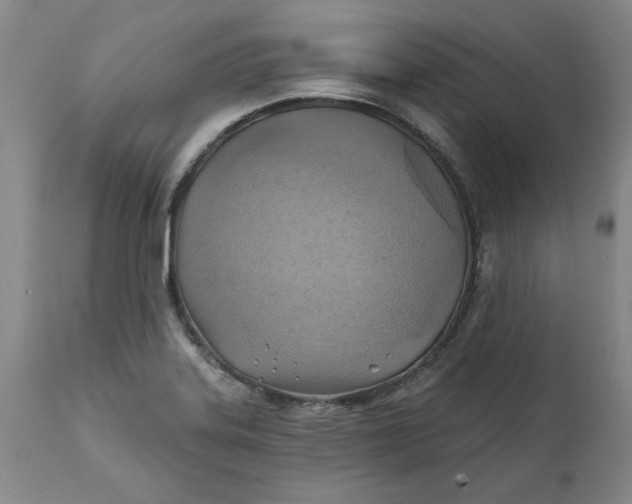 X0000112031323200908241529