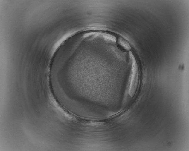 X0000112031325200908241529