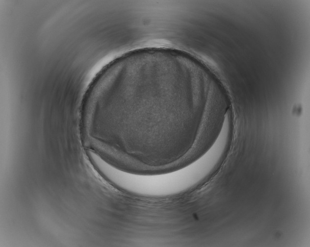 X0000112031326200908241529