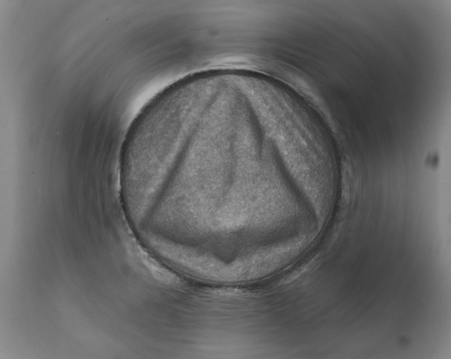 X0000112031328200908241529