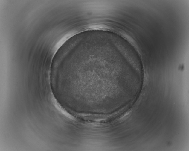 X0000112031330200908241529