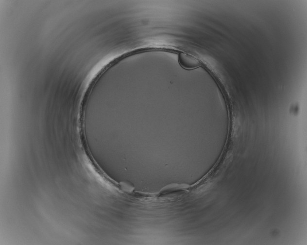 X0000112031331200908241529