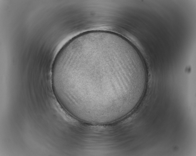 X0000112031332200908241529