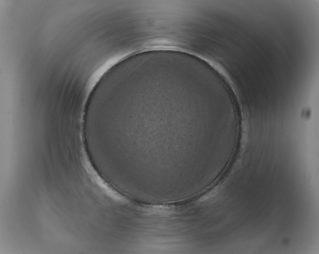 X0000112031333200908241529