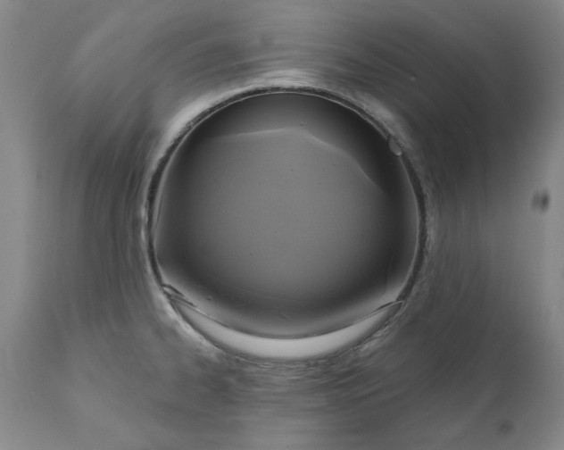 X0000112031334200908241529