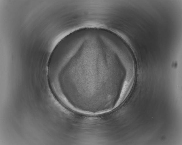 X0000112031335200908241529