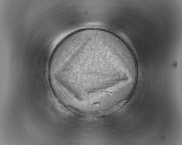 X0000112031336200908241529