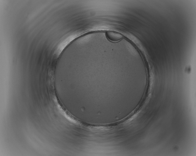 X0000112031337200908241529