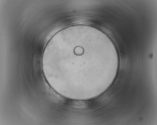 X0000112031338200908241529