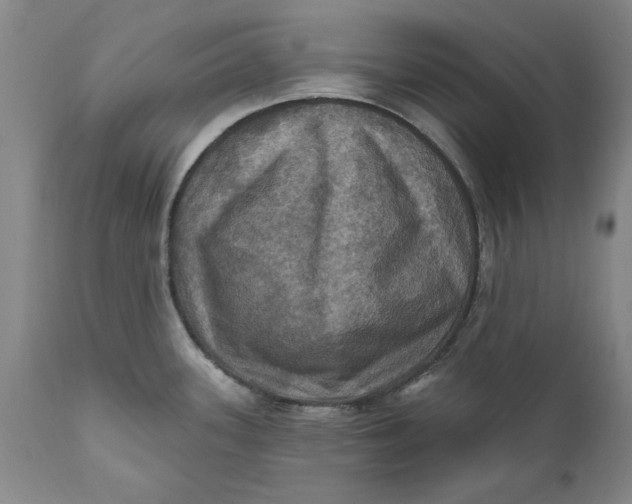 X0000112031339200908241529