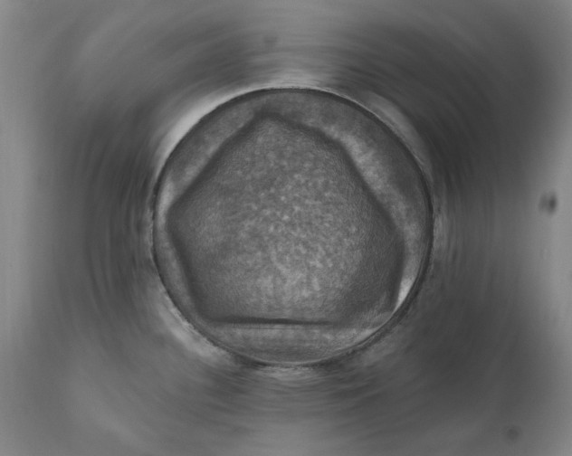 X0000112031340200908241529