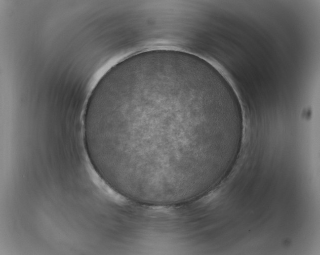 X0000112031341200908241529