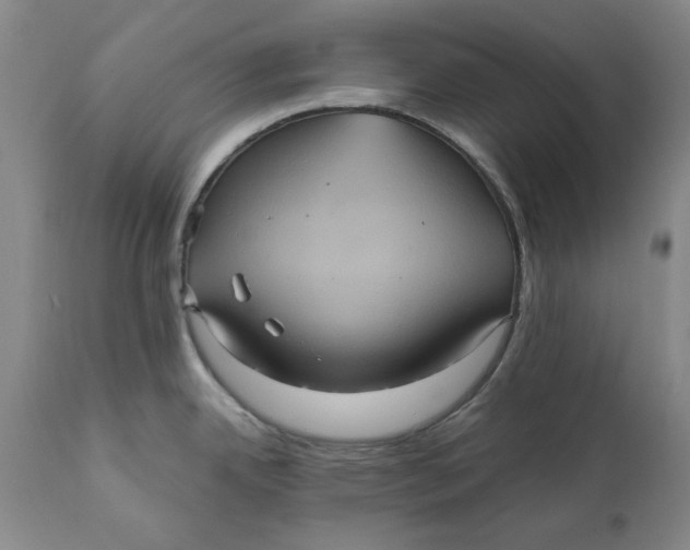 X0000112031342200908241529