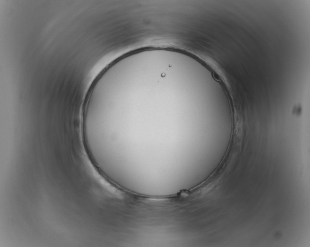 X0000112031343200908241529