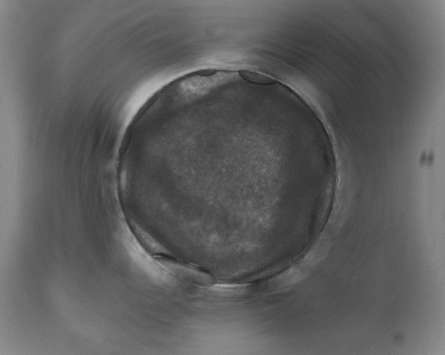 X0000112031344200908241529