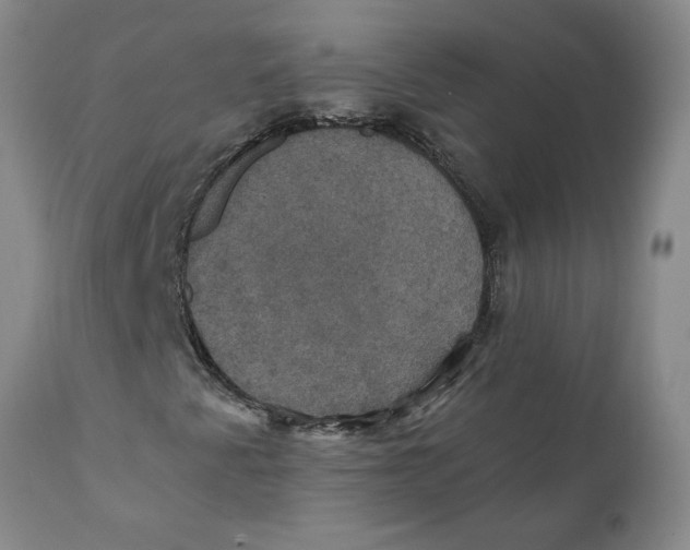 X0000112031345200908241528