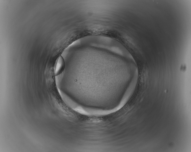 X0000112031346200908241528