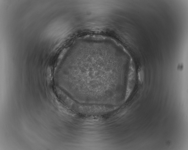 X0000112031347200908241528