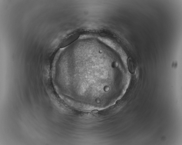 X0000112031348200908241528