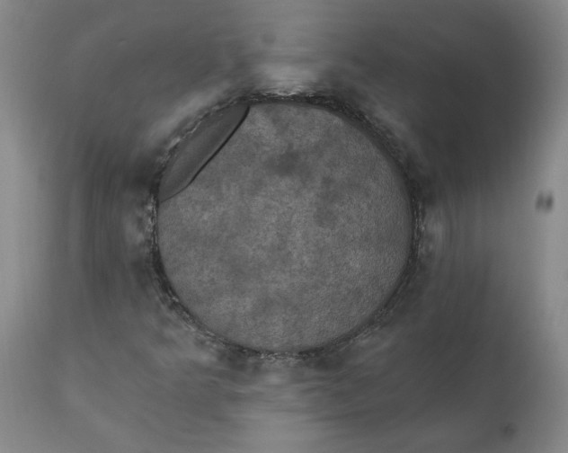 X0000112031349200908241528