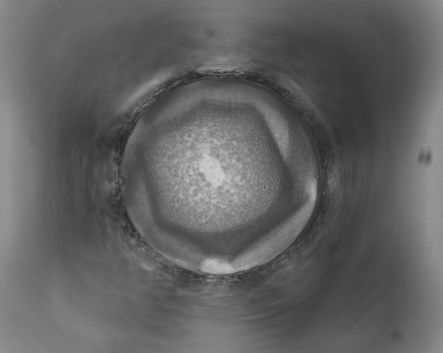 X0000112031350200908241528