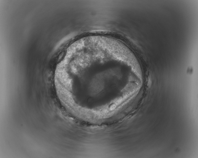 X0000112031351200908241528